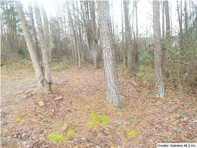 448 Reid Road, Unit 1 Oneonta, AL 35121 - Photo 8 of 8