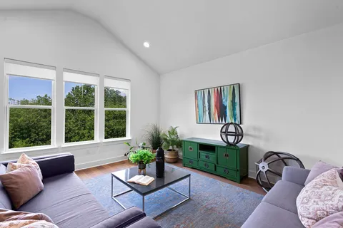a living room with furniture and a potted plant