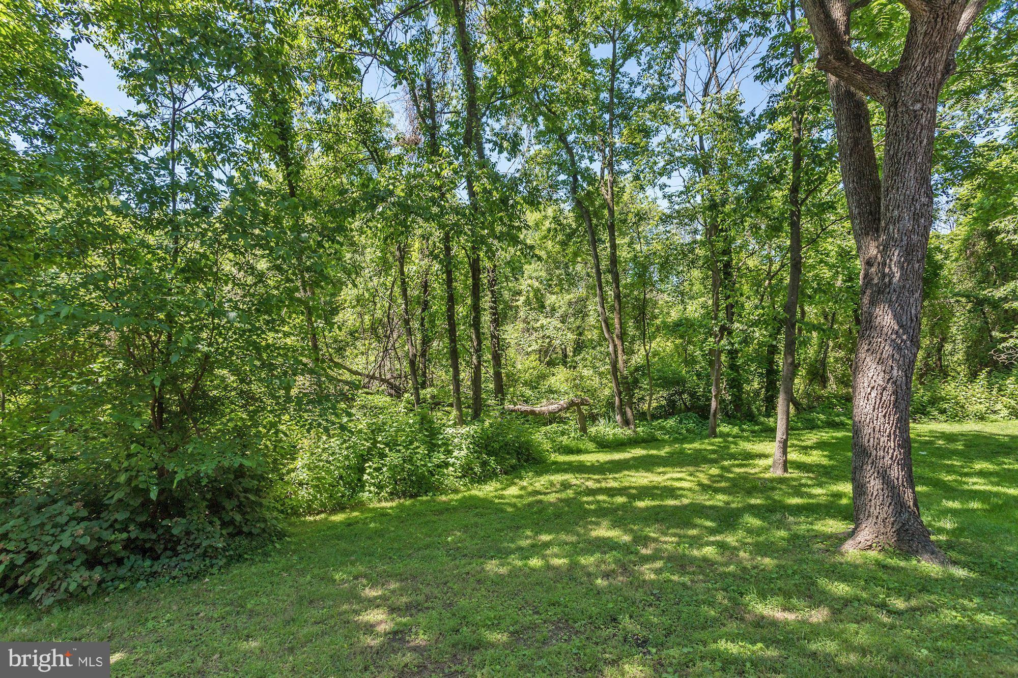 6370 Wind Rider Way Columbia, MD 21045 - Photo 29 of 34 Tree Lined View