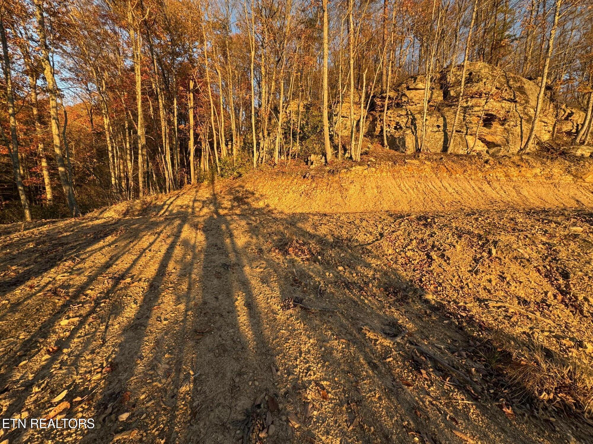 Big Ridge Road Oneida, TN 37841 - Photo 14 of 33 IMG_4975