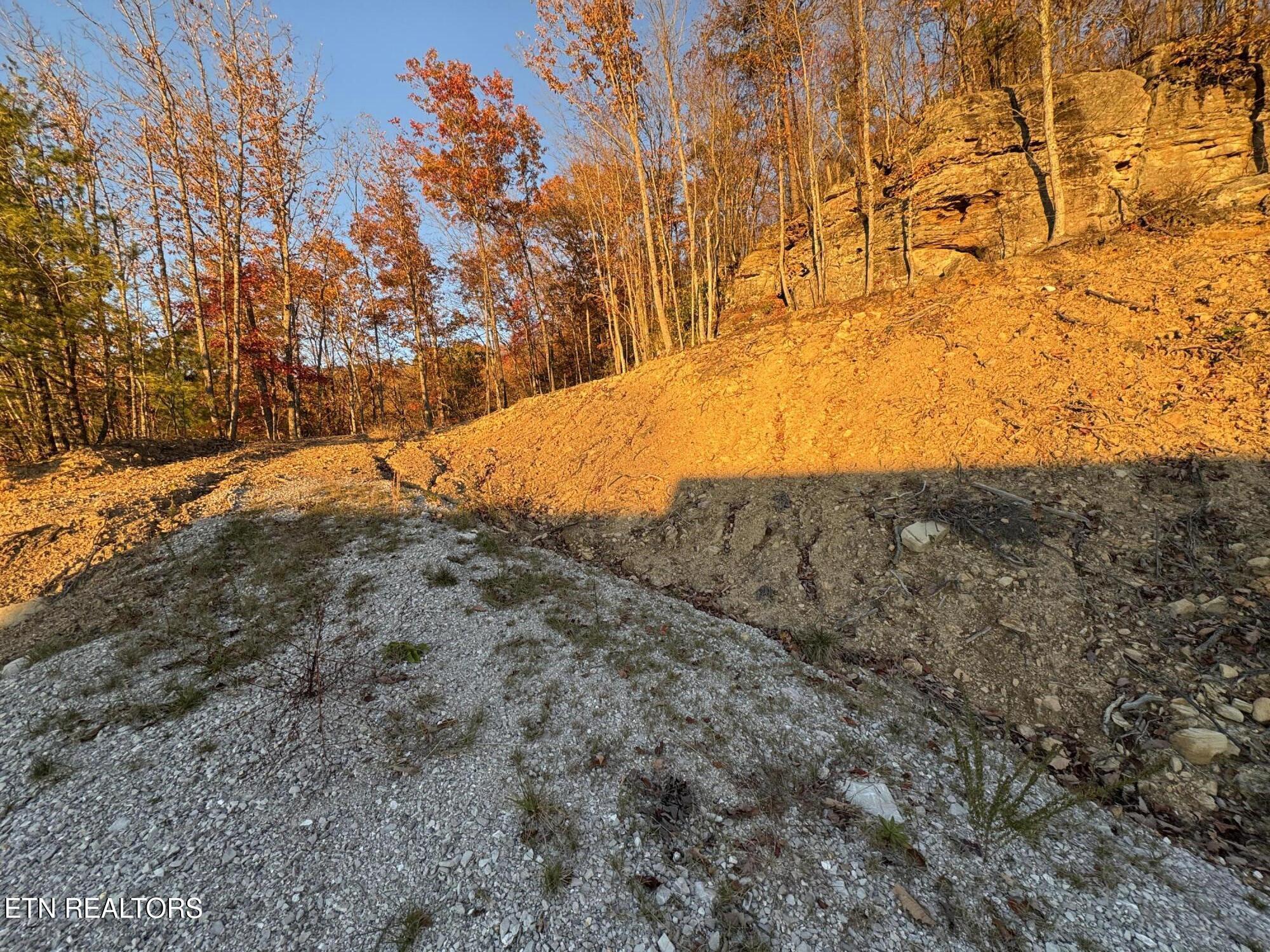 Big Ridge Road Oneida, TN 37841 - Photo 15 of 33 IMG_4976