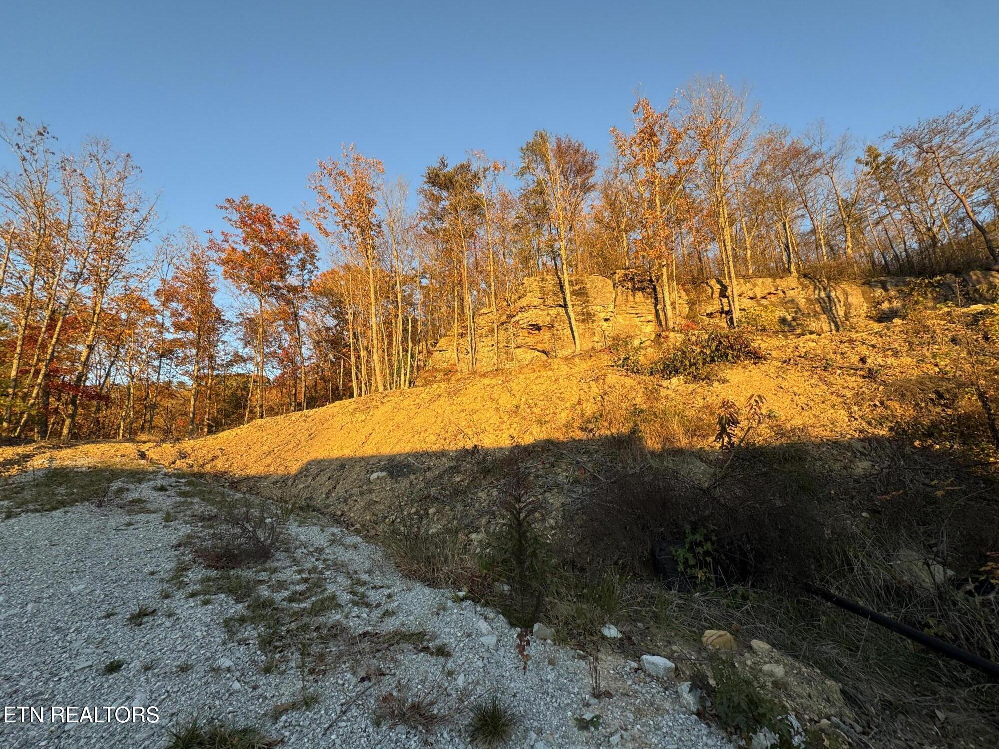 Big Ridge Road Oneida, TN 37841 - Photo 16 of 33 IMG_4977