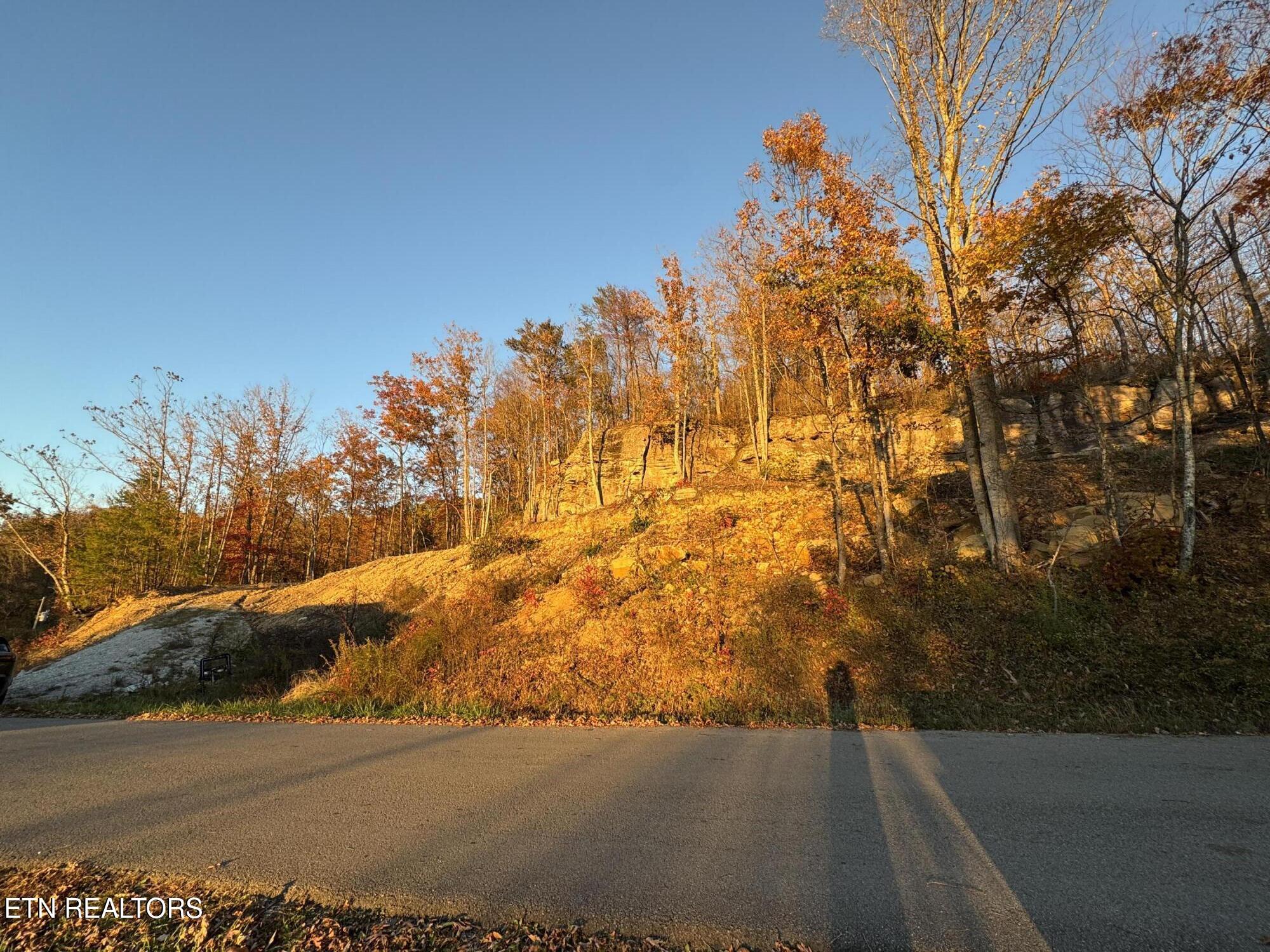 Big Ridge Road Oneida, TN 37841 - Photo 17 of 33 IMG_4978