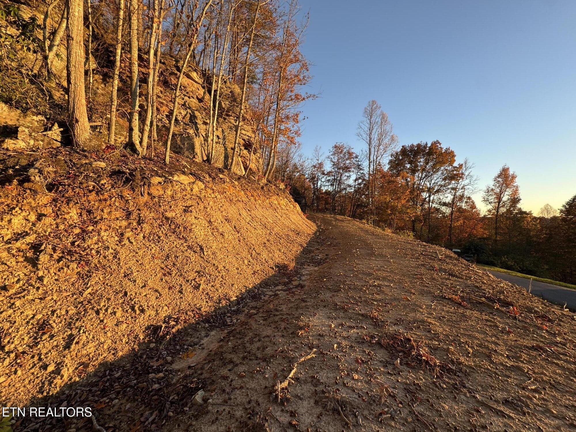 Big Ridge Road Oneida, TN 37841 - Photo 18 of 33 IMG_4973