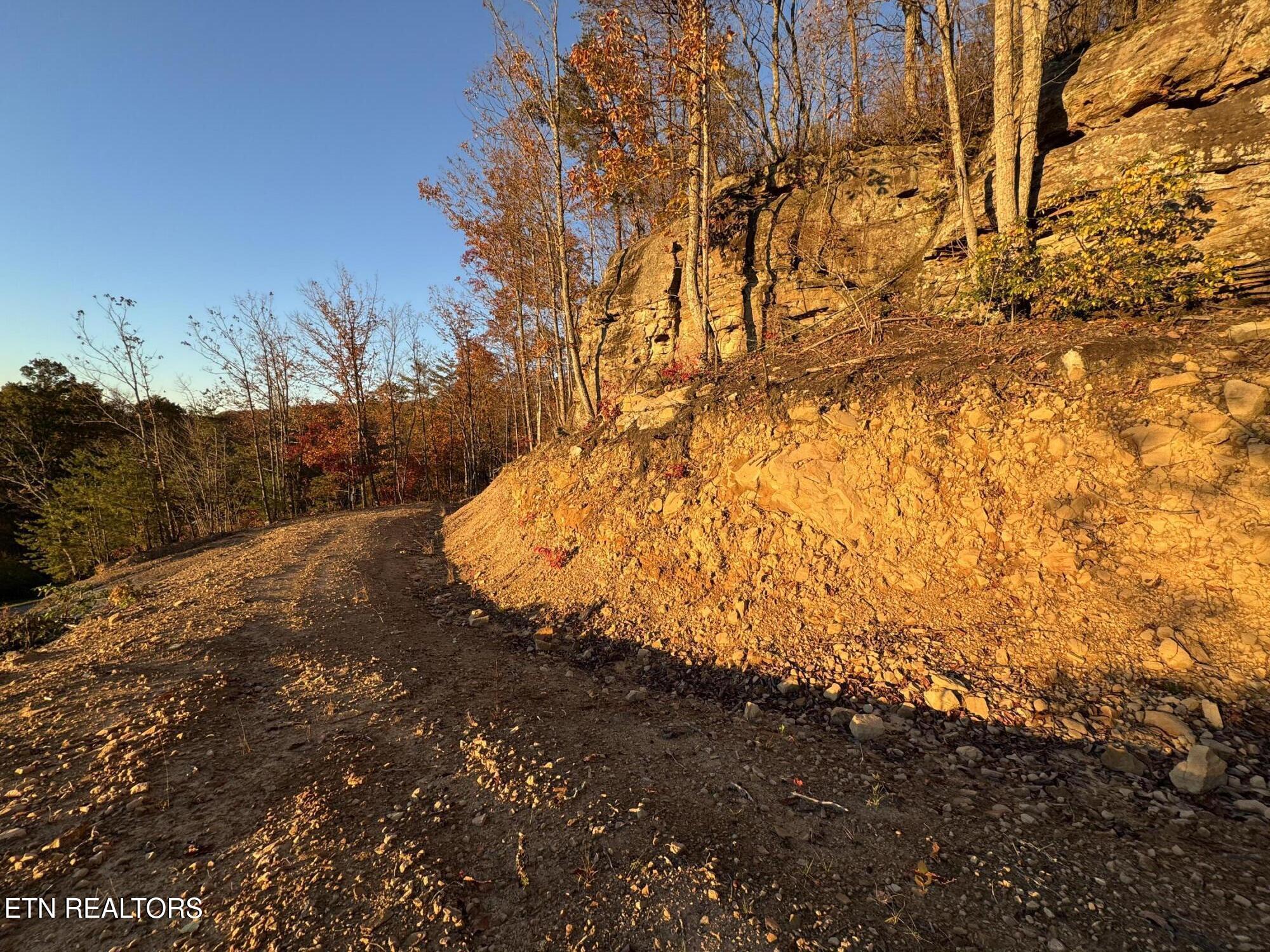 Big Ridge Road Oneida, TN 37841 - Photo 20 of 33 IMG_4971