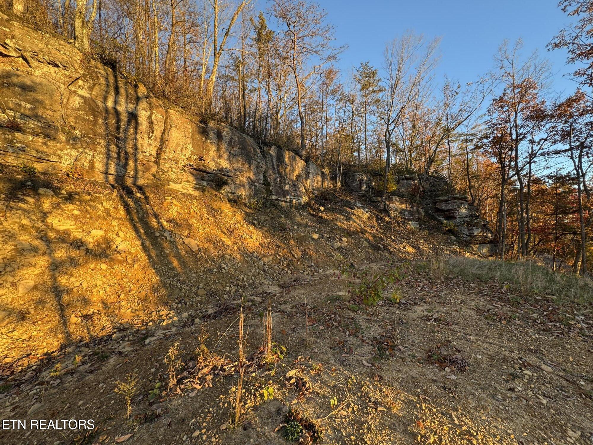 Big Ridge Road Oneida, TN 37841 - Photo 21 of 33 IMG_4970