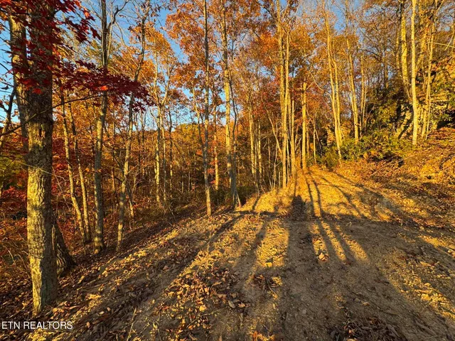 $34,000 | Big Ridge Road, Oneida, TN 37841