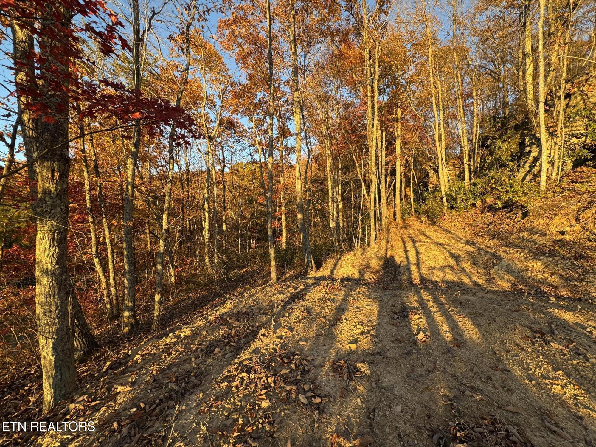 Big Ridge Road Oneida, TN 37841 - Photo 24 of 33 IMG_4966