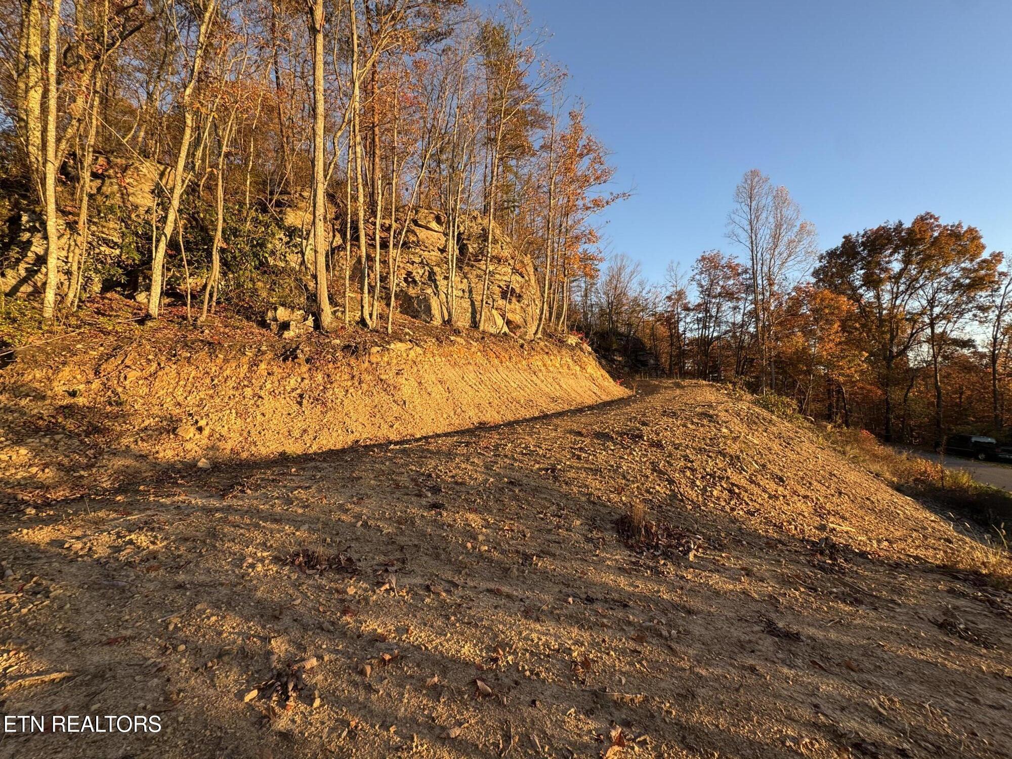 Big Ridge Road Oneida, TN 37841 - Photo 25 of 33 IMG_4967