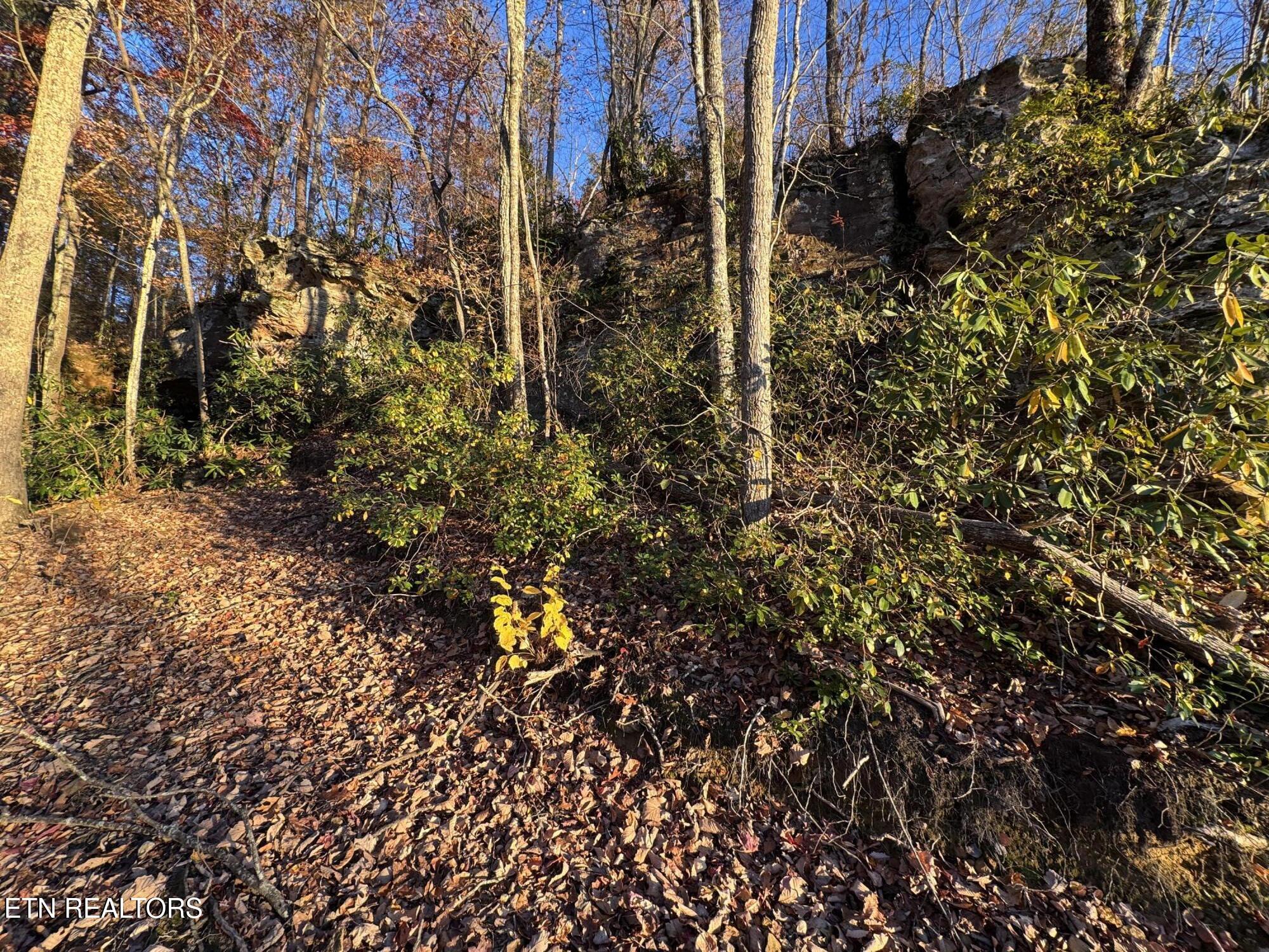 Big Ridge Road Oneida, TN 37841 - Photo 26 of 33 IMG_4968