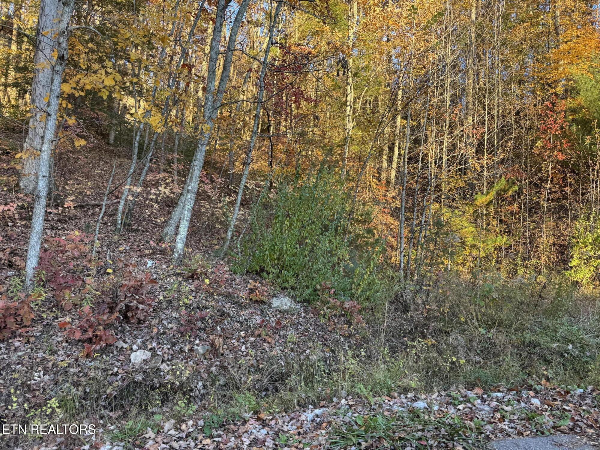 Big Ridge Road Oneida, TN 37841 - Photo 27 of 33 IMG_4955