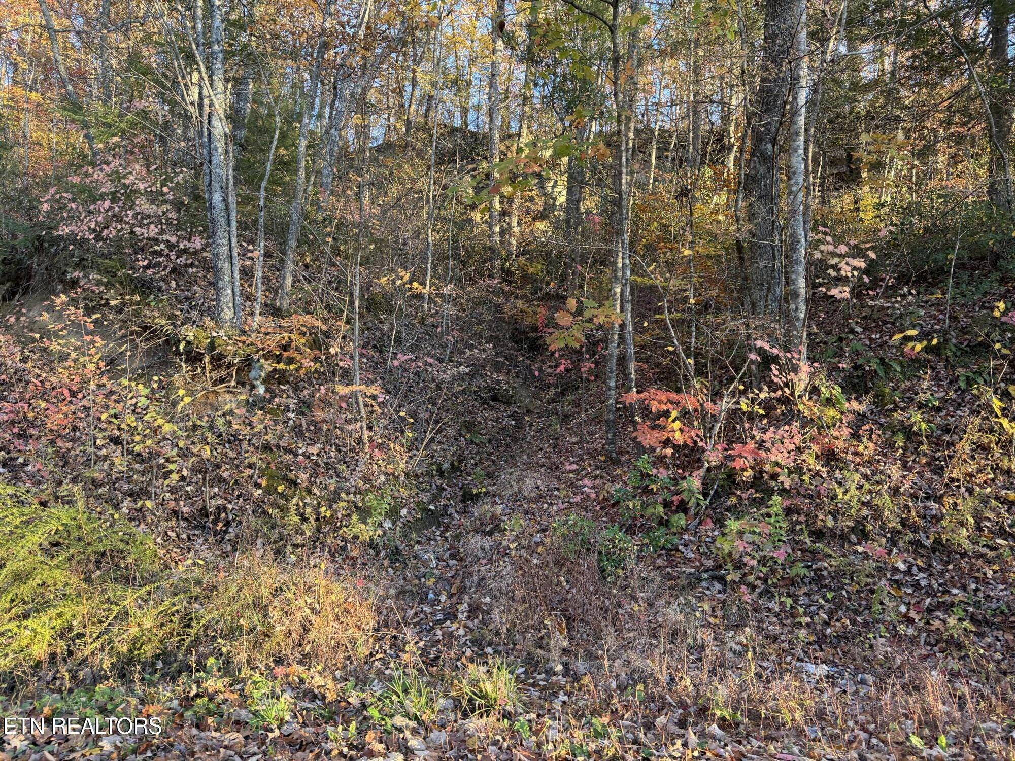 Big Ridge Road Oneida, TN 37841 - Photo 28 of 33 IMG_4956