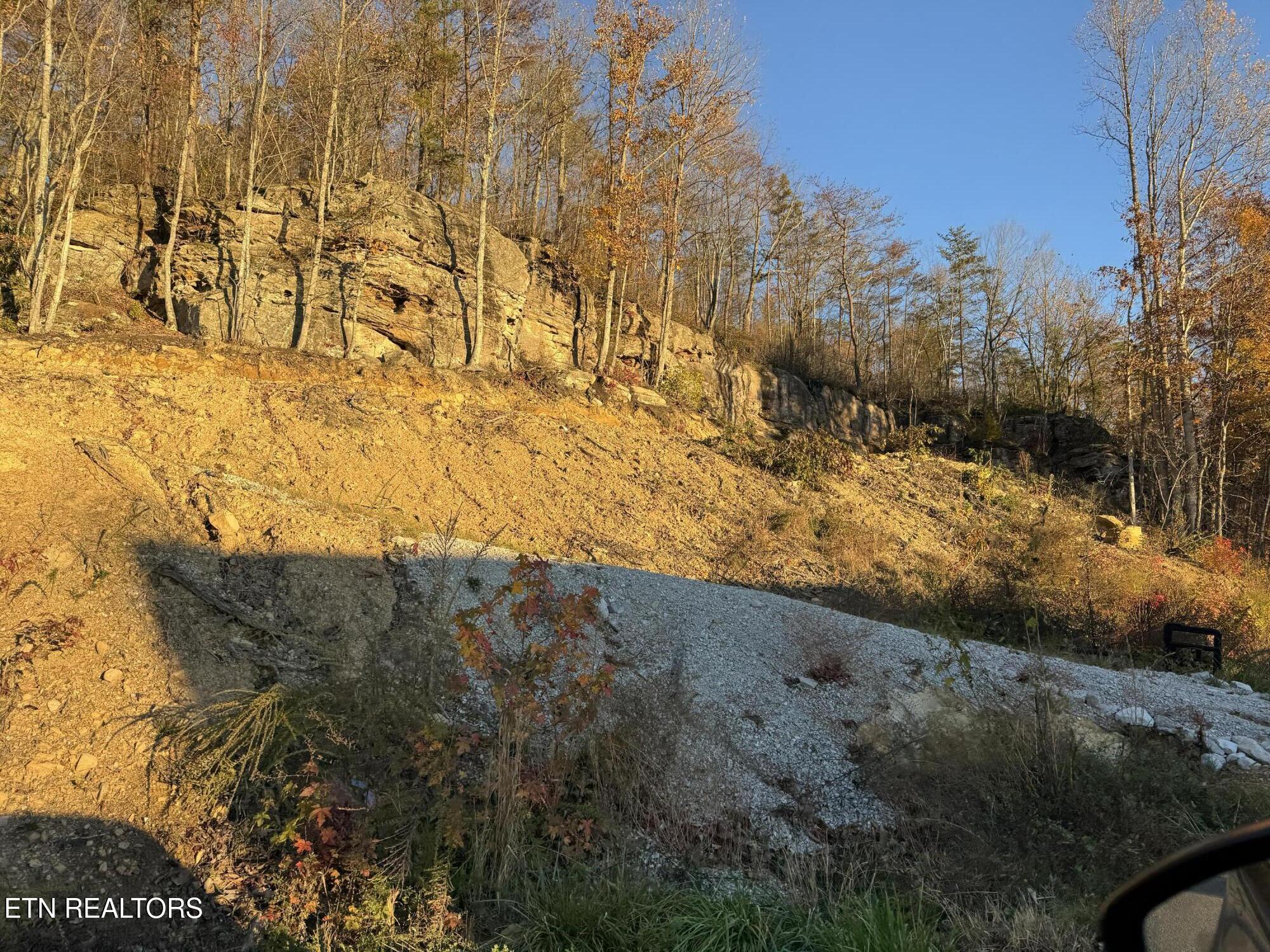 Big Ridge Road Oneida, TN 37841 - Photo 29 of 33 IMG_4957