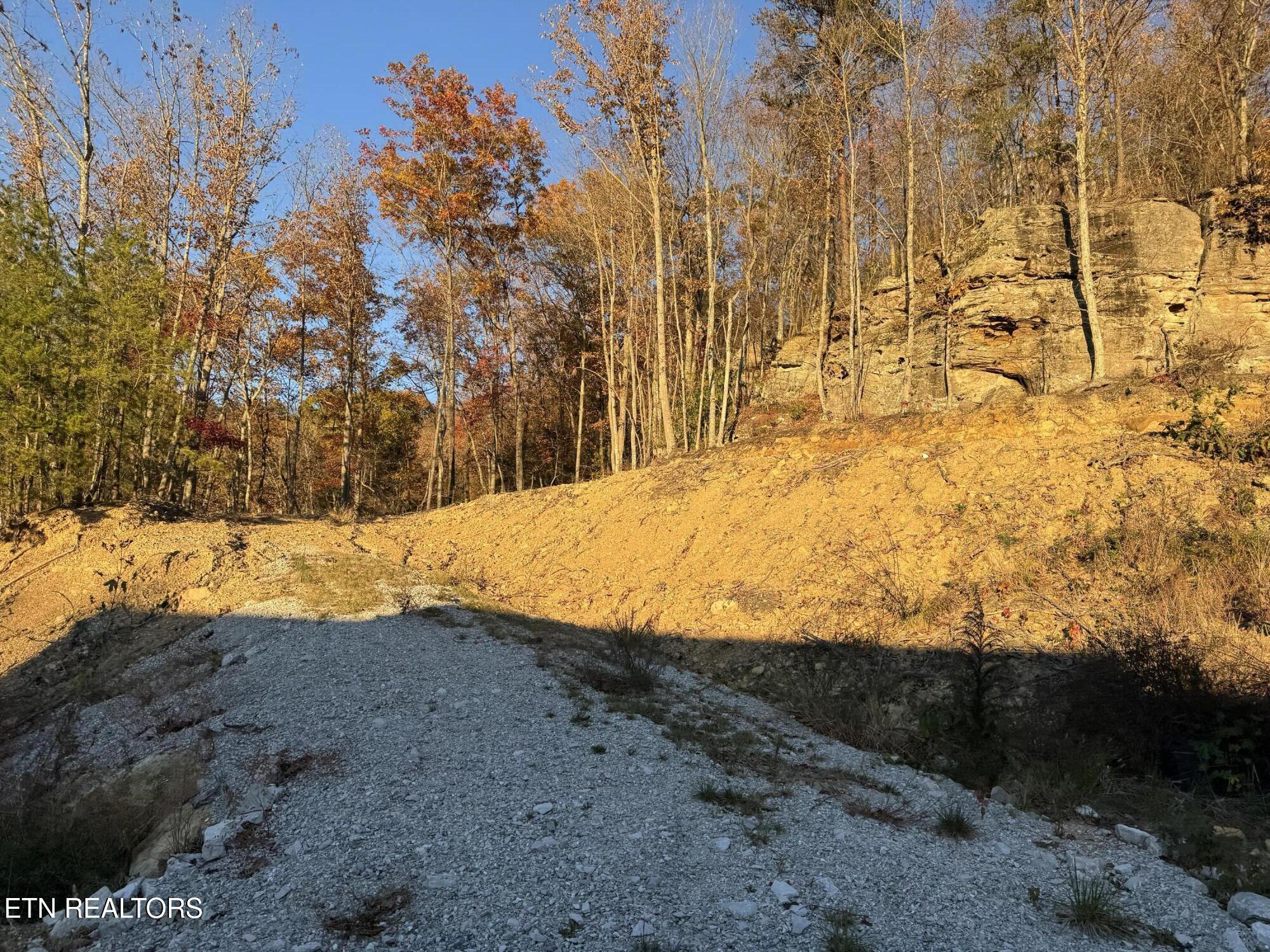 Big Ridge Road Oneida, TN 37841 - Photo 30 of 33 IMG_4958