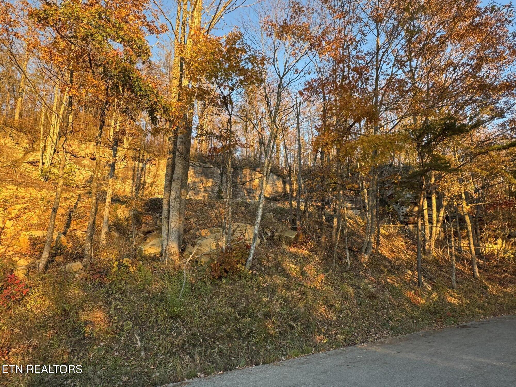 Big Ridge Road Oneida, TN 37841 - Photo 3 of 33 IMG_4980