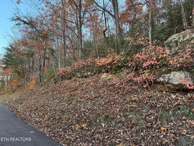 $34,000 | Big Ridge Road, Oneida, TN 37841