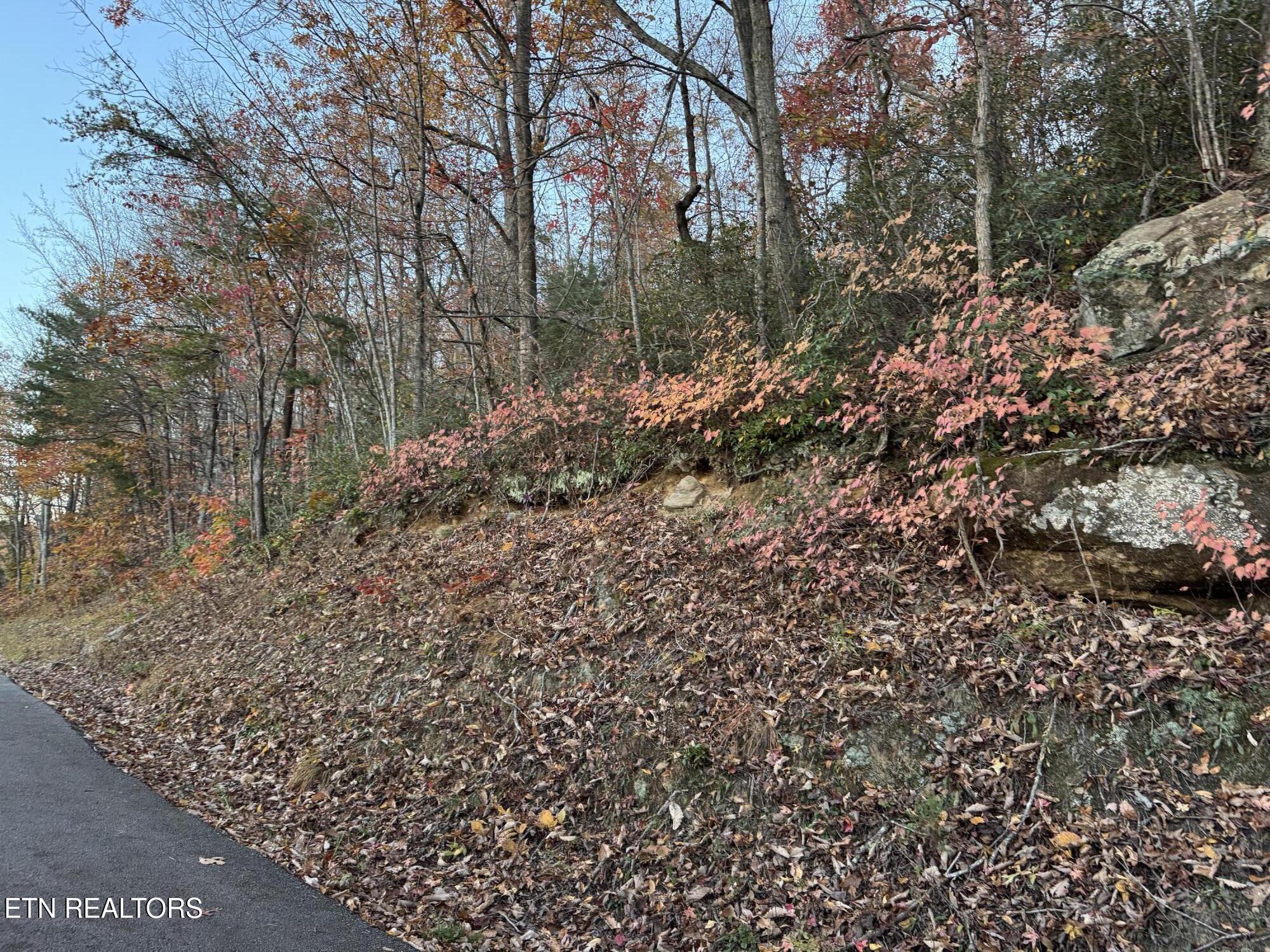 Big Ridge Road Oneida, TN 37841 - Photo 4 of 33 IMG_4991