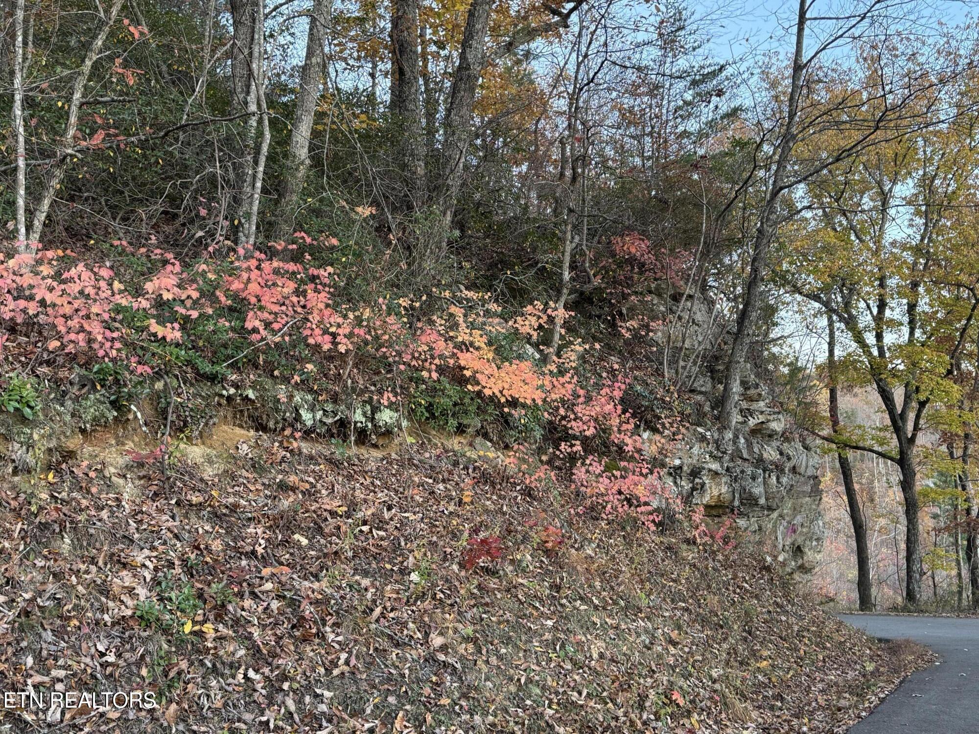 Big Ridge Road Oneida, TN 37841 - Photo 5 of 33 IMG_4990