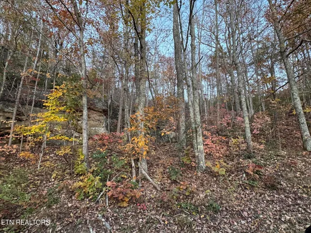 $34,000 | Big Ridge Road, Oneida, TN 37841