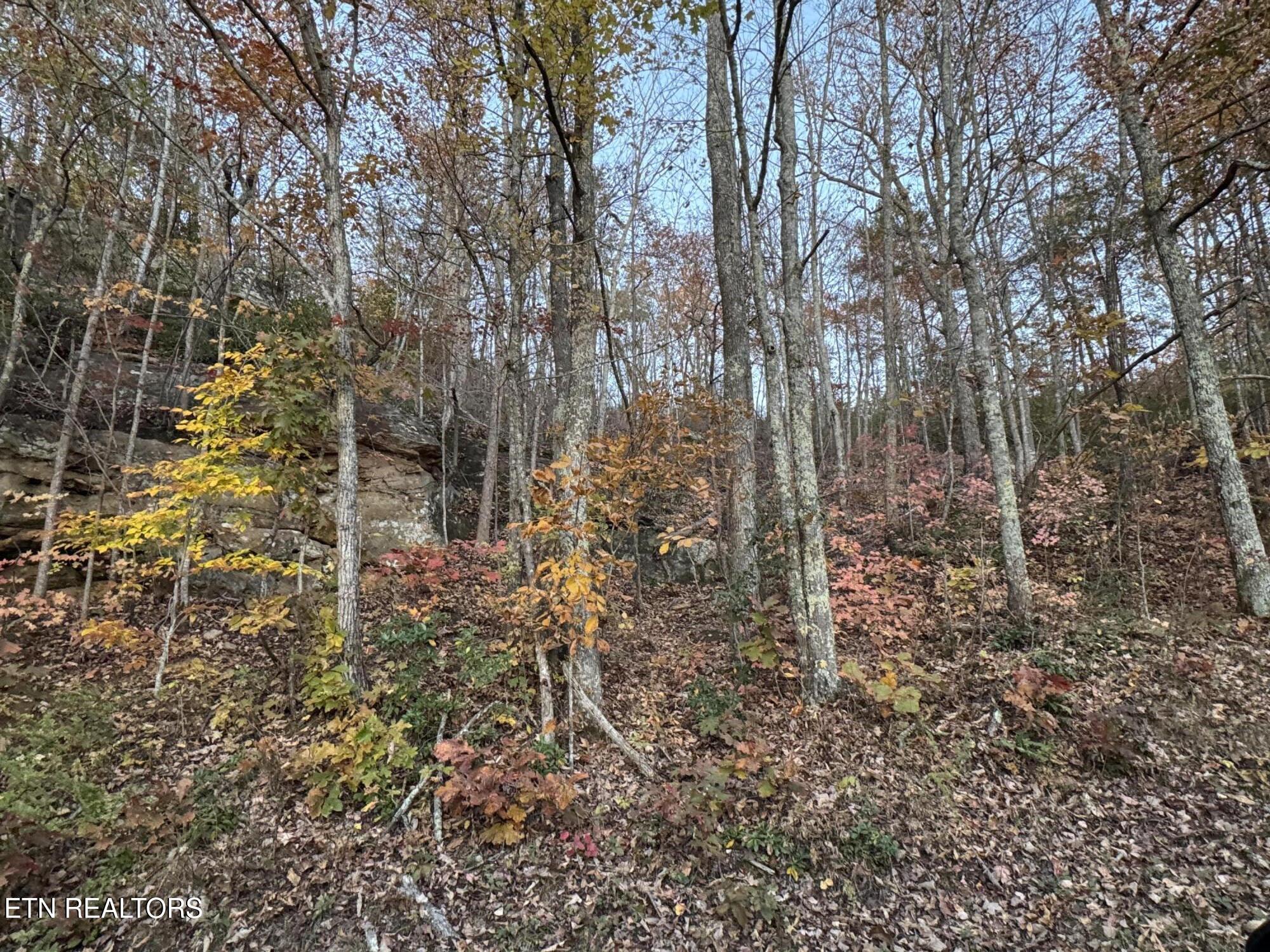 Big Ridge Road Oneida, TN 37841 - Photo 8 of 33 IMG_4987