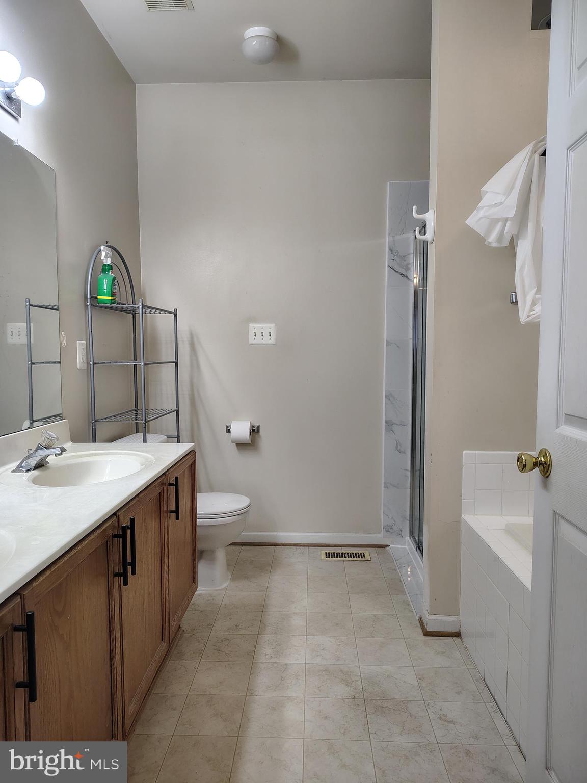 444 Delaware Road Frederick, MD 21701 - Photo 13 of 23 a bathroom with a sink and mirror with toilet