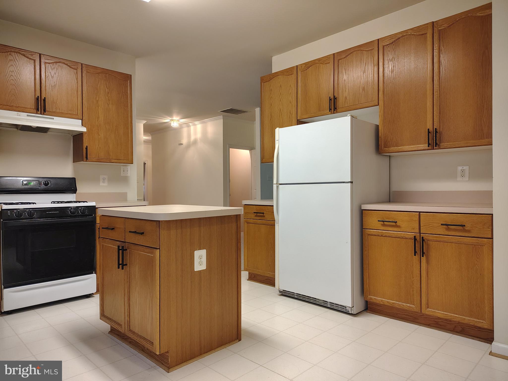 444 Delaware Road Frederick, MD 21701 - Photo 8 of 23 a kitchen with appliances a refrigerator and cabinets