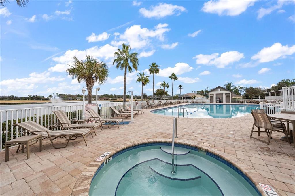 1237 Rambling Vine Court Trinity, FL 34655 - Photo 58 of 76