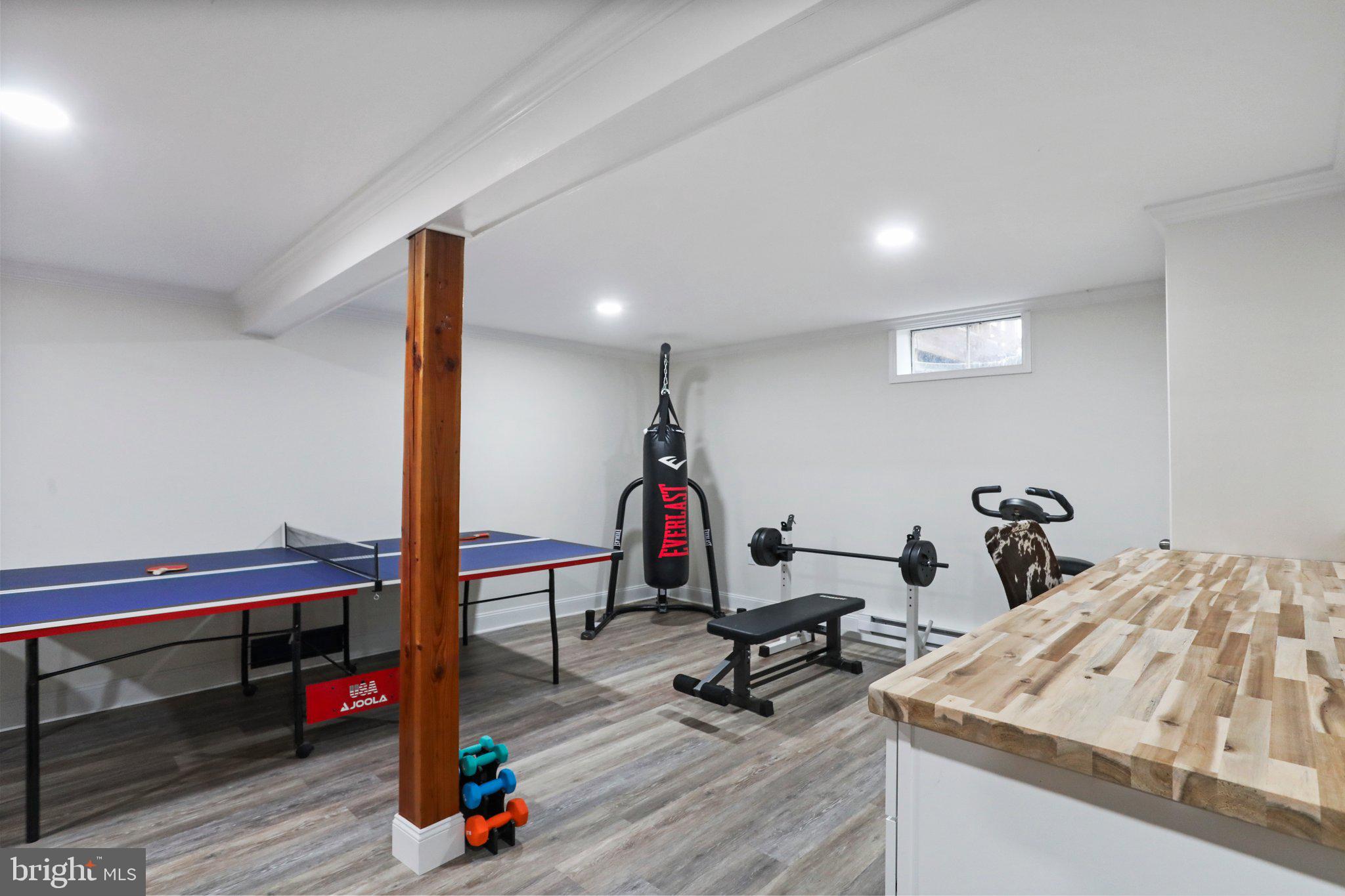 130 Traveller Road Falling Waters, WV 25419 - Photo 50 of 93 Primary home lower level game room/ rec room/ gym