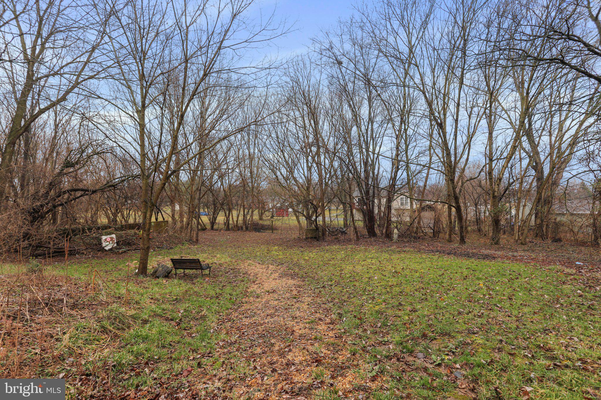 130 Traveller Road Falling Waters, WV 25419 - Photo 76 of 93 Level rear yard