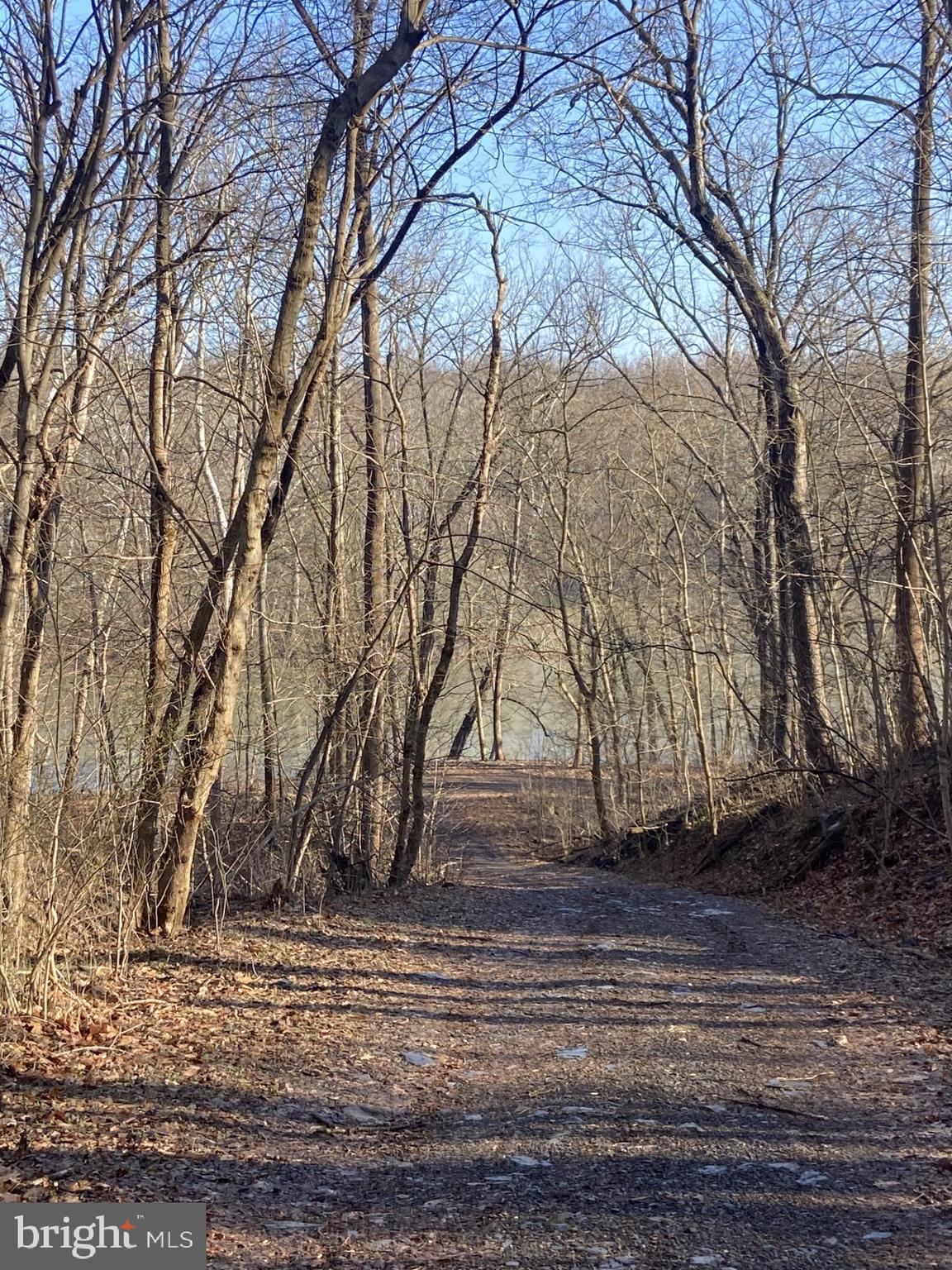 130 Traveller Road Falling Waters, WV 25419 - Photo 89 of 93 Community river access