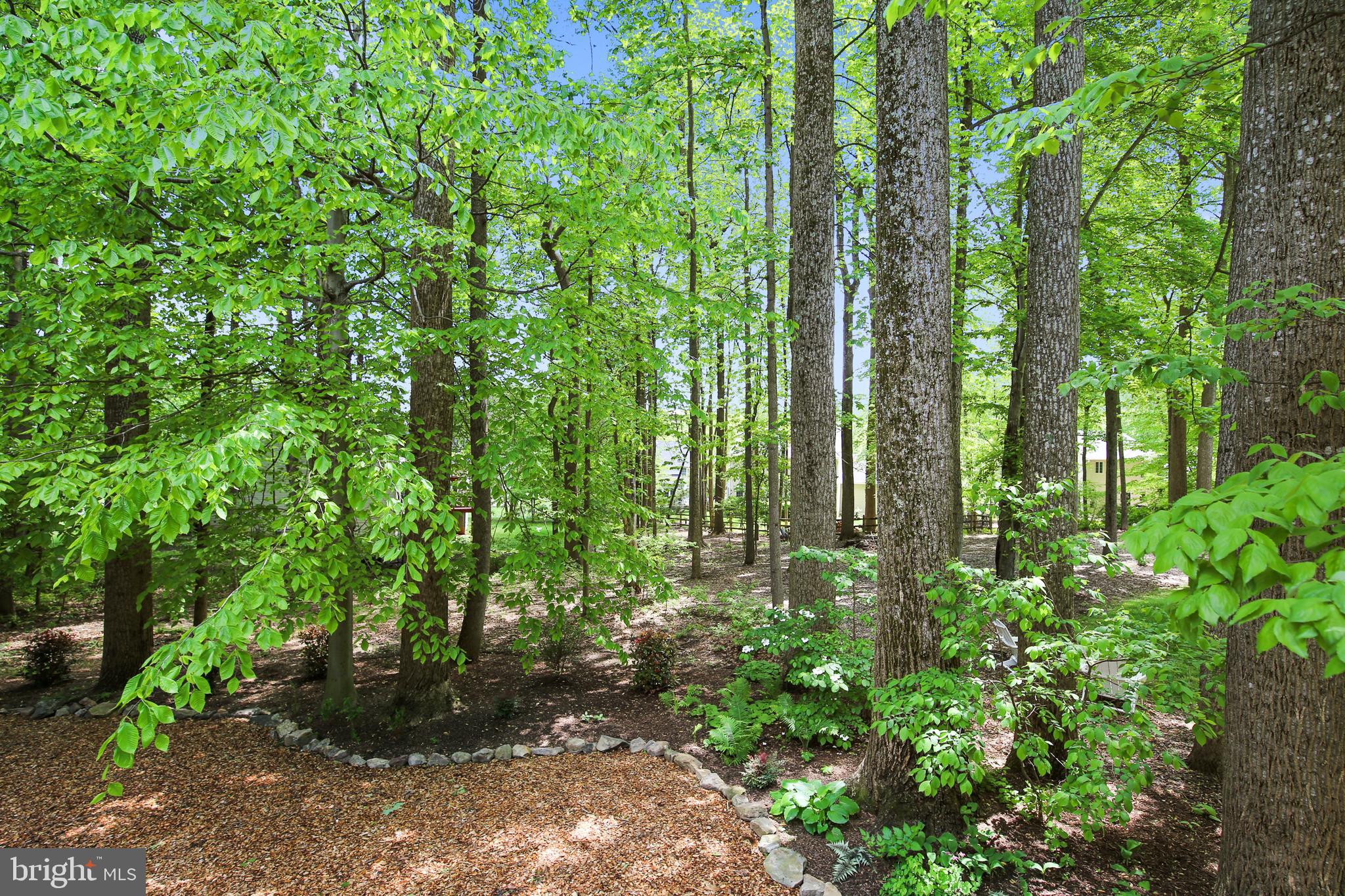 2710 Owens Road Brookeville, MD 20833 - Photo 38 of 46 How's this for a view from the deck?!