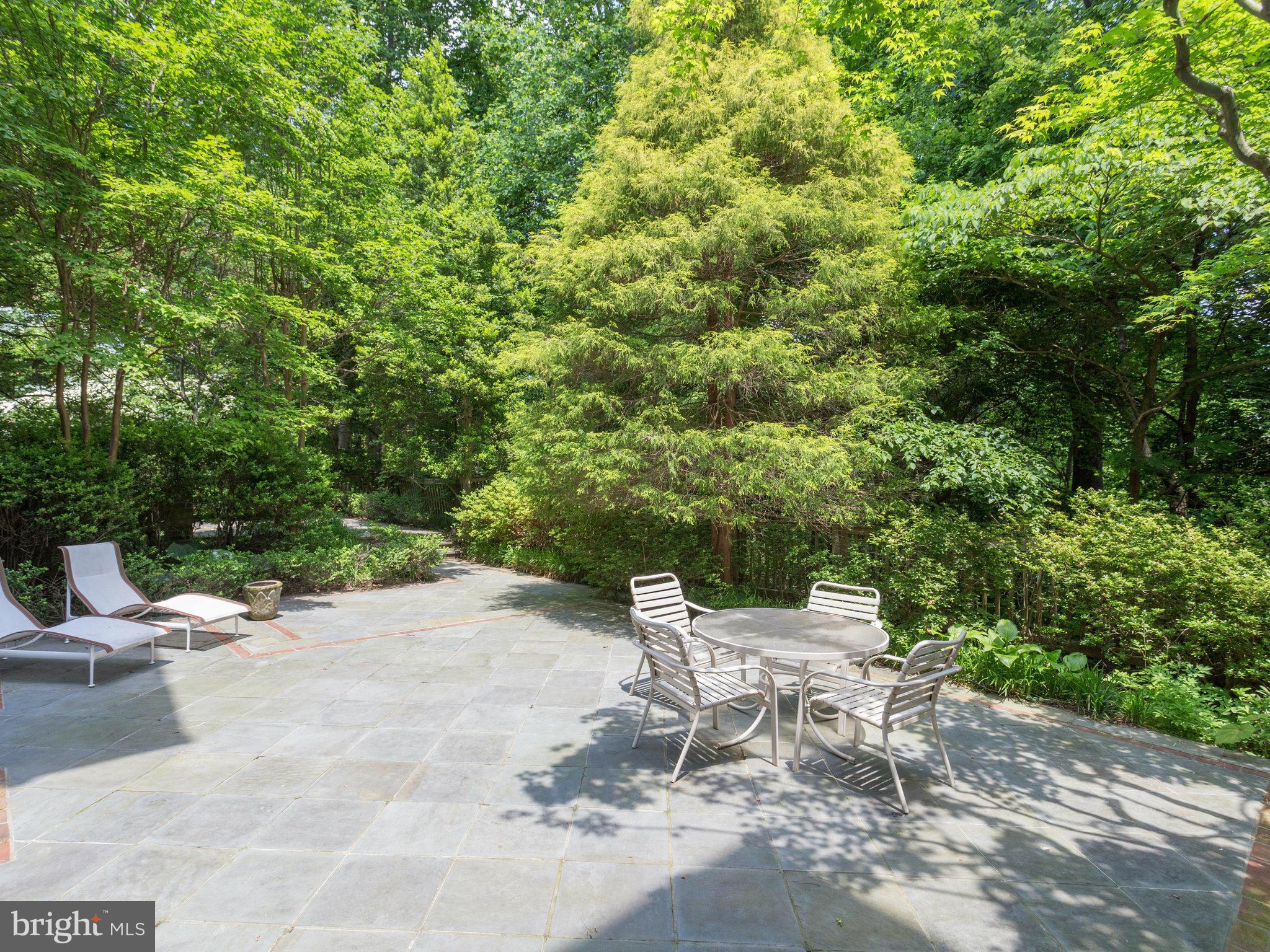 706 Belgrove Road McLean, VA 22101 - Photo 3 of 30 Exterior (Rear)