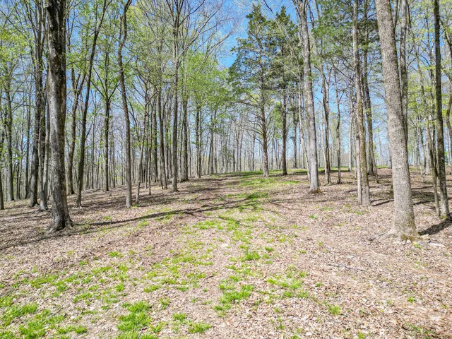 a backyard of a house with large trees
