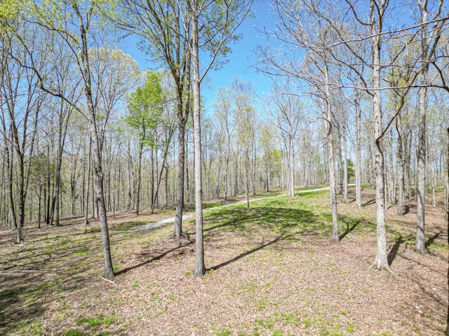 a backyard of a house with lots of green space and trees