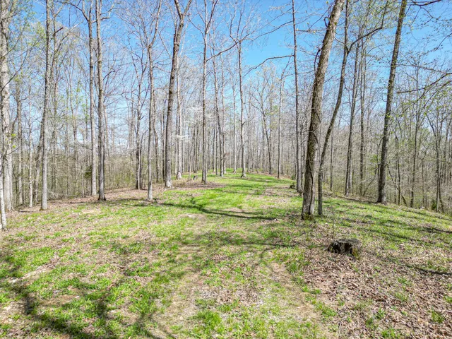 a backyard of a house with lots of green space and fountain