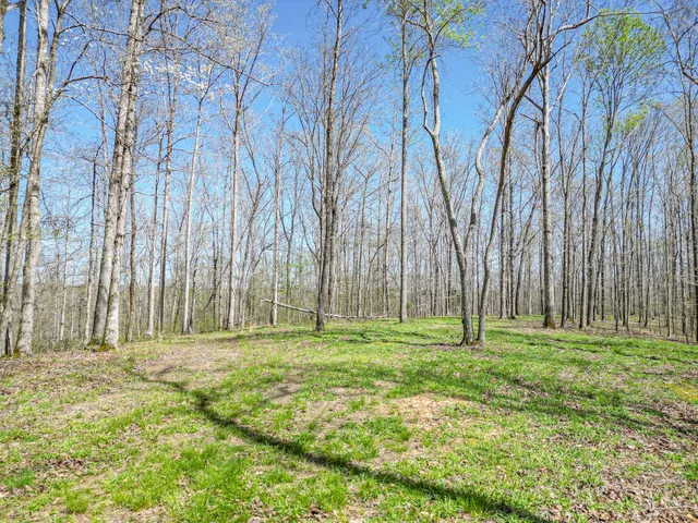 a backyard of apartments with large trees