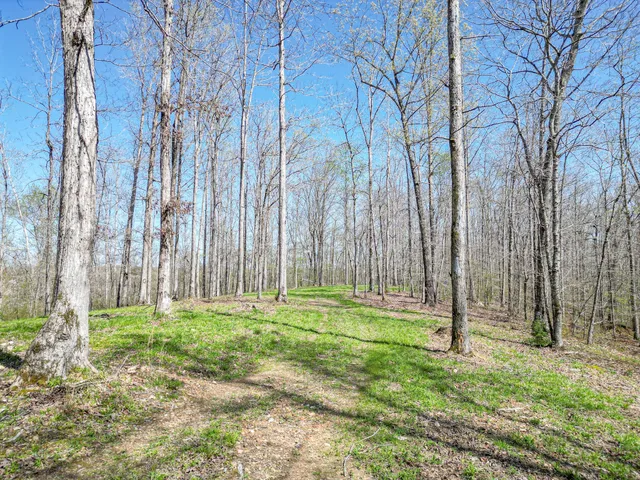 a backyard of a house with lots of green space and fountain
