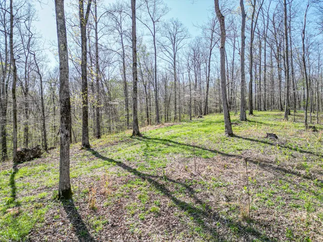 a view of a pathway both side of yard