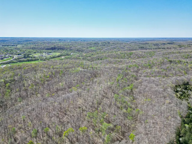 a view of a yard with a garden