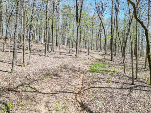 a backyard of a house with lots of green space