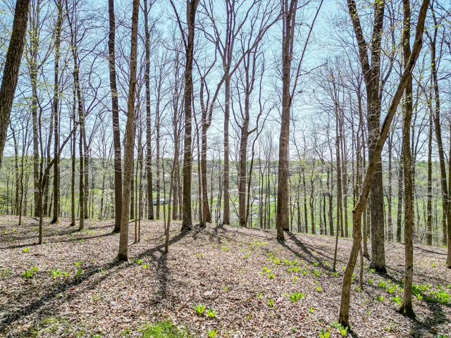 a backyard of a house with lots of trees and plants