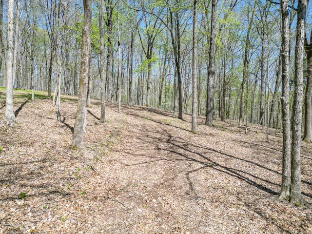 a view of house with backyard and trees
