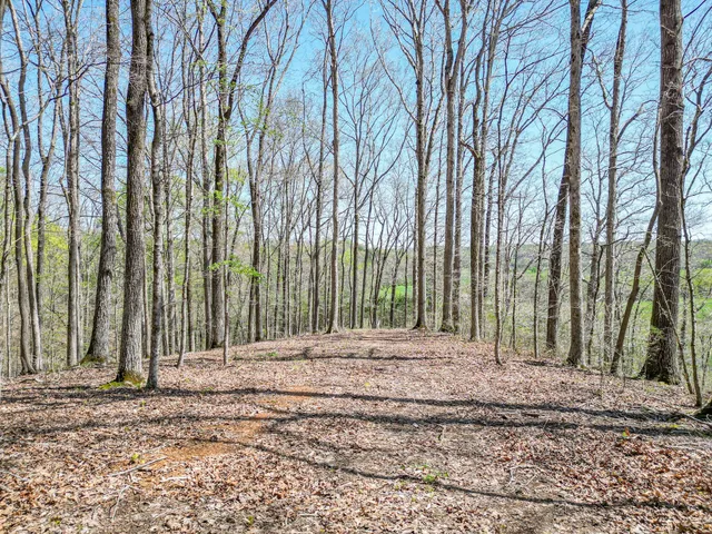 a view of a backyard of the house