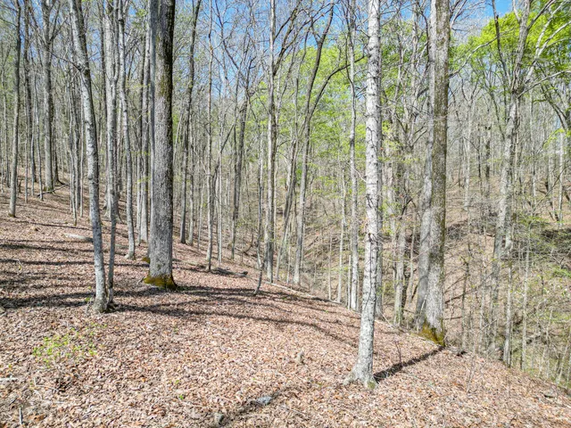 a view of a pathway with a backyard