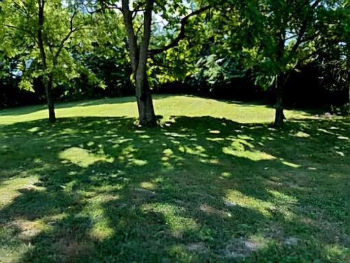 5600 Maysville Road Carlisle, KY 40311 - Photo 5 of 6 image000001