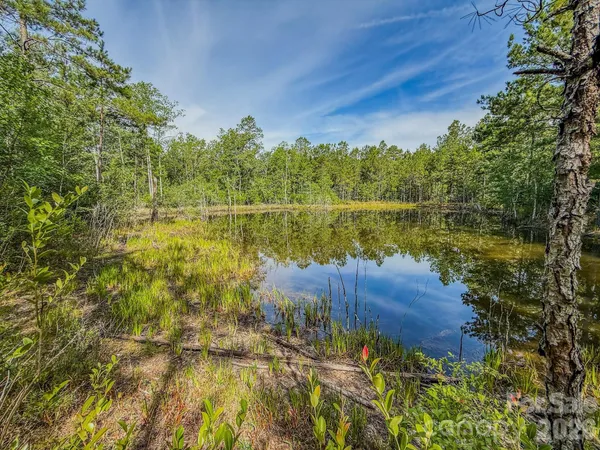 $149,900 | 0 Hwy 1 Highway, Patrick, SC 29584
