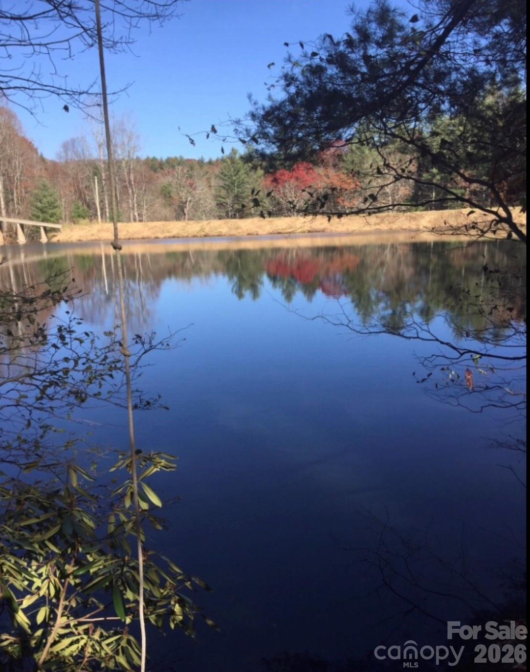0 Deer Park Lake Road Spruce Pine, NC 28777 - Photo 17 of 24 a view of a lake