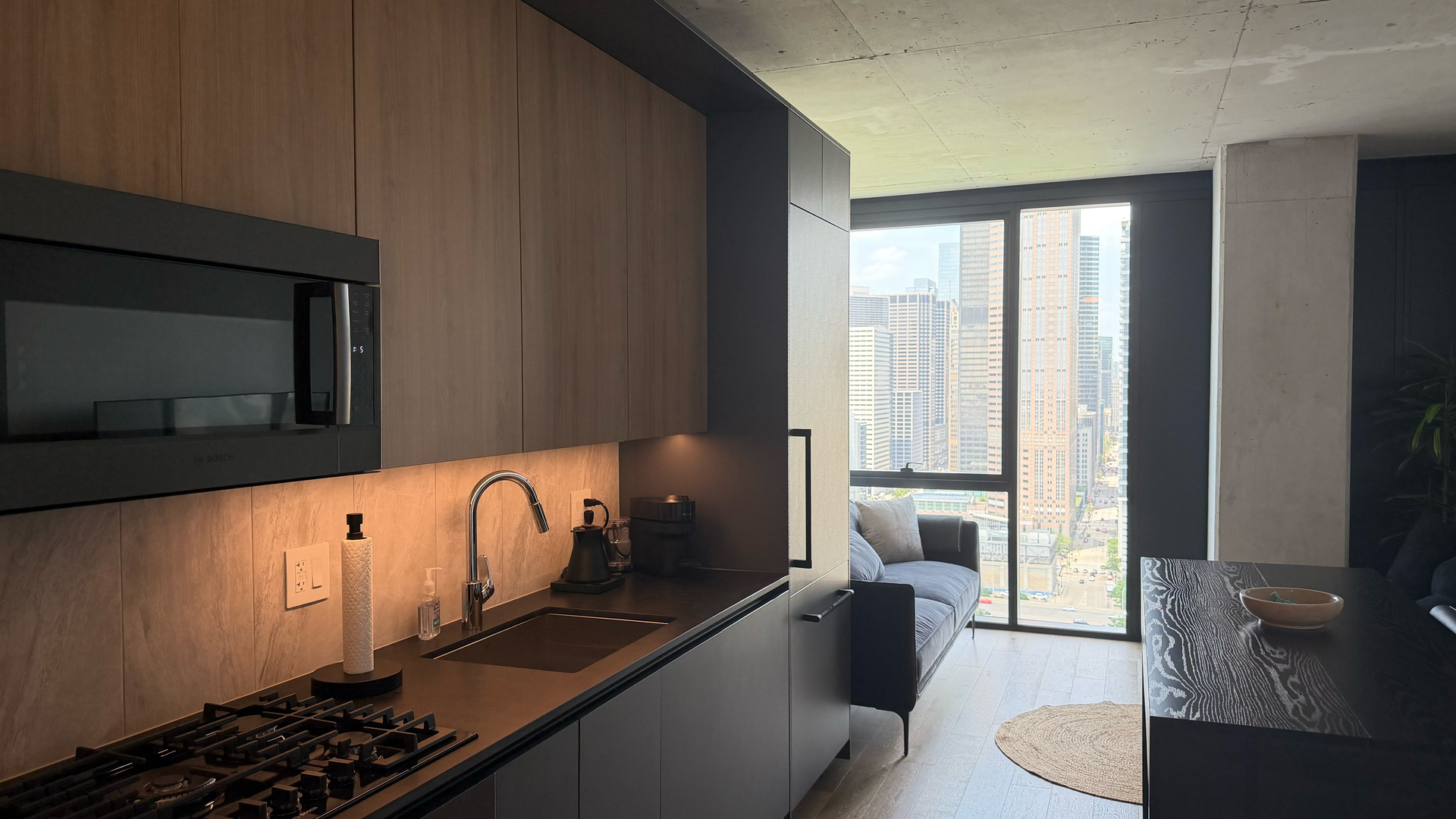 234 West Polk Street, Unit 2806 Chicago, IL 60607 - Photo 3 of 15