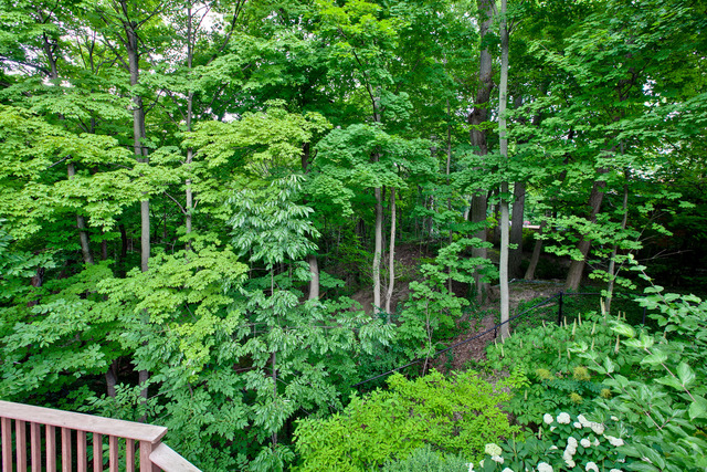 205 Franklin Road Glencoe, IL 60022 - Photo 25 of 25 view of a lush green forest