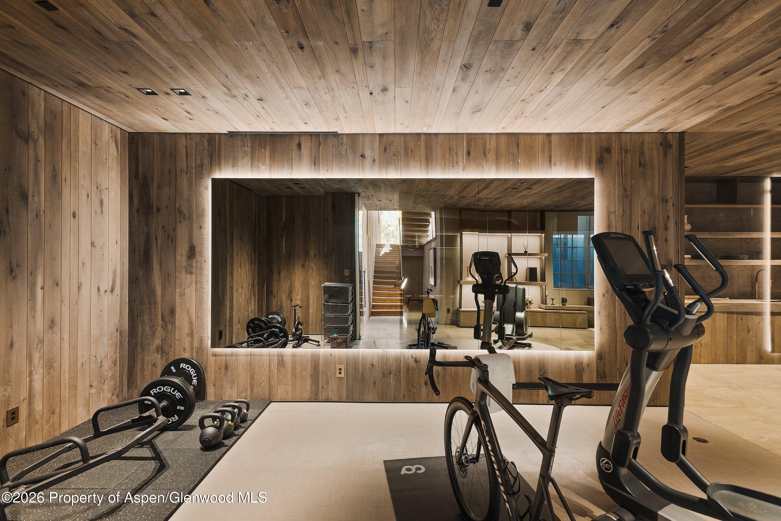 5387 Castle Creek Road Aspen, CO 81612 - Photo 13 of 20 a view of a room with gym equipment